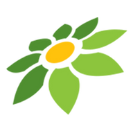 AVATAR UNTUK ML